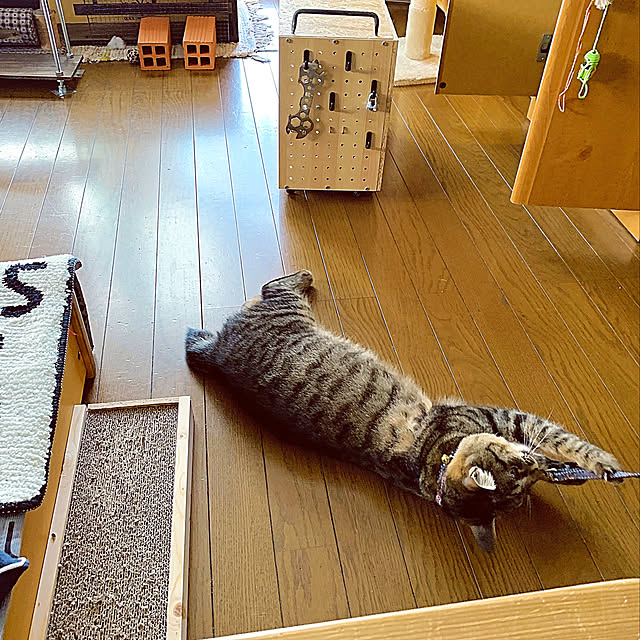 nisannisan39さんの実例写真
