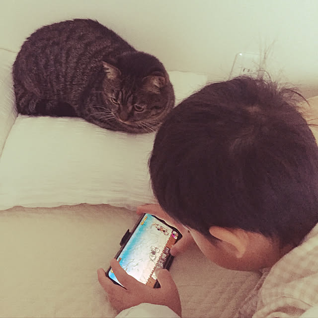 nocomomさんの実例写真
