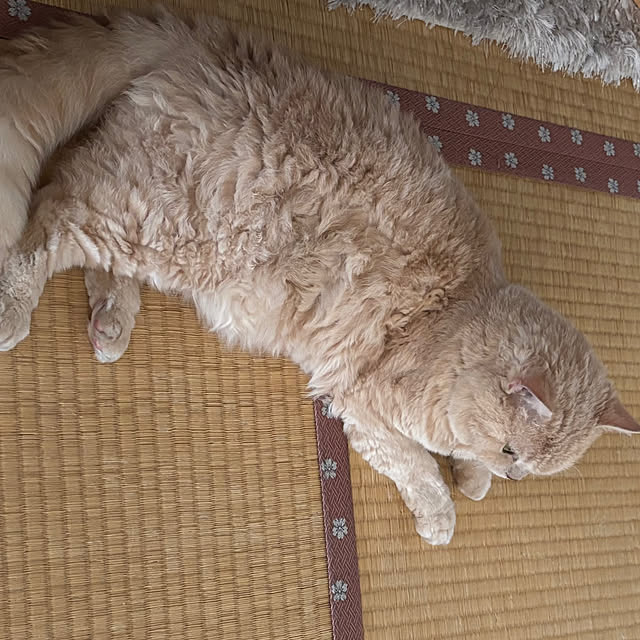 naokoさんの部屋