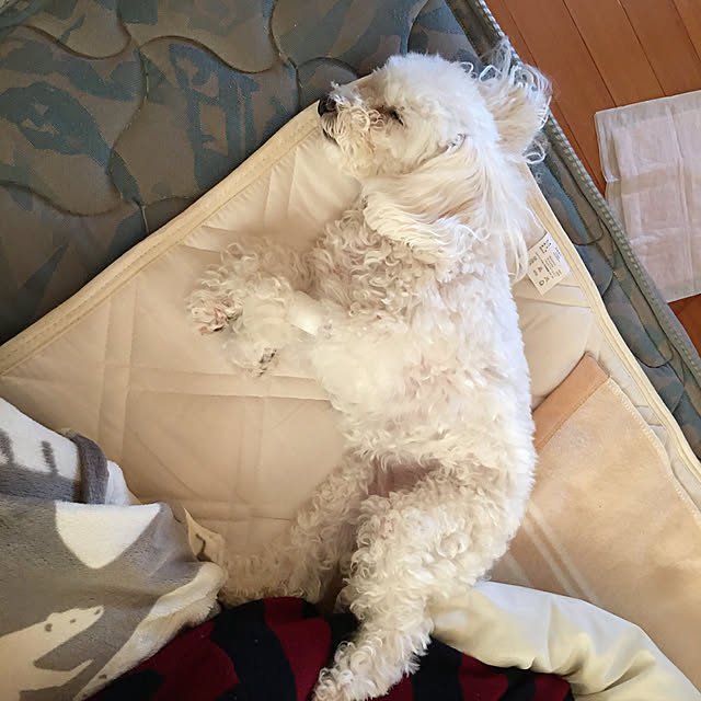 kakoさんの実例写真