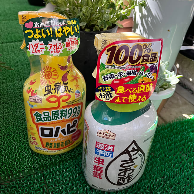 izurinaさんの実例写真