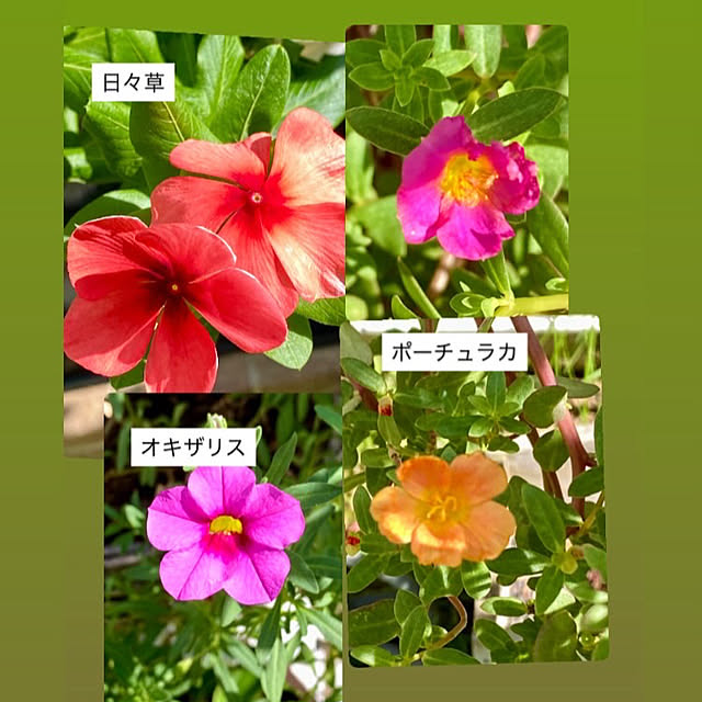 YuuKoさんの部屋