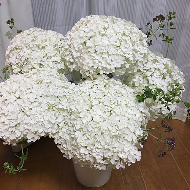実例写真