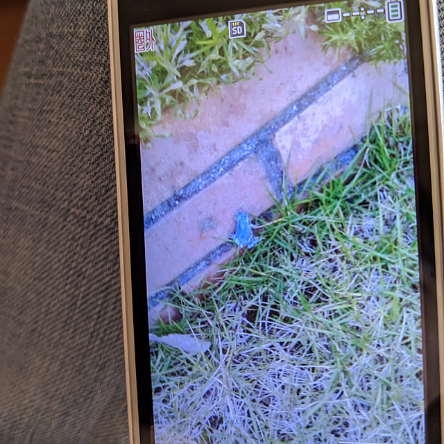 kouheiyuto24623takaさんの実例写真