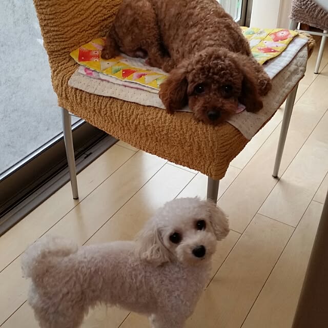 wakuwaku.nobukoさんの実例写真