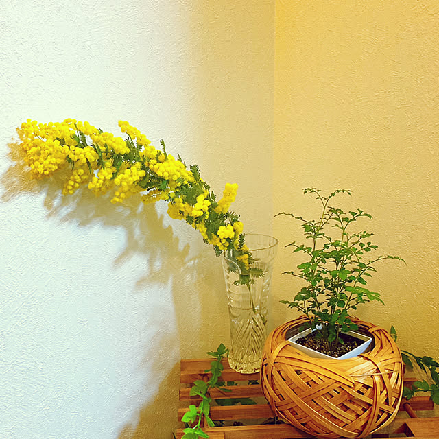 mommyさんの実例写真