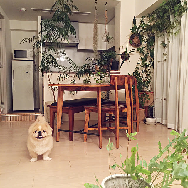 bubuさんの実例写真