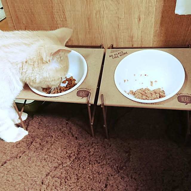 noritamaさんの実例写真
