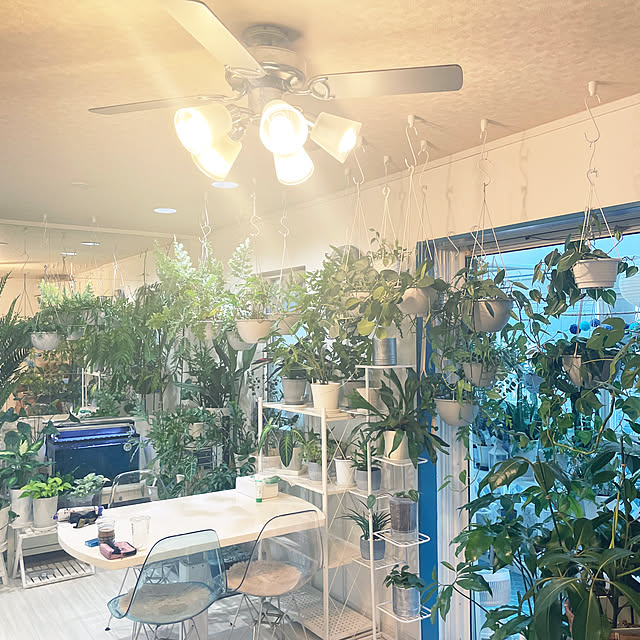 kanakoさんの部屋