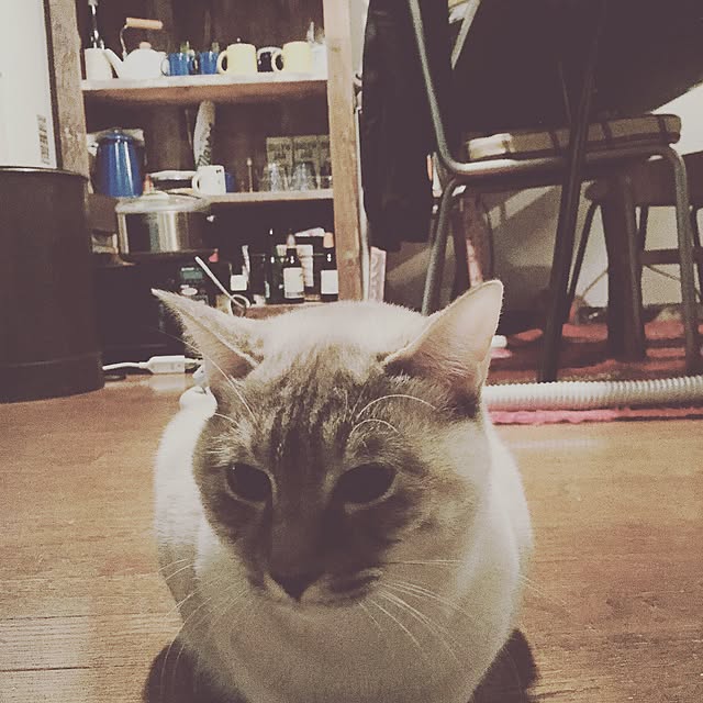 Naoki.さんの実例写真