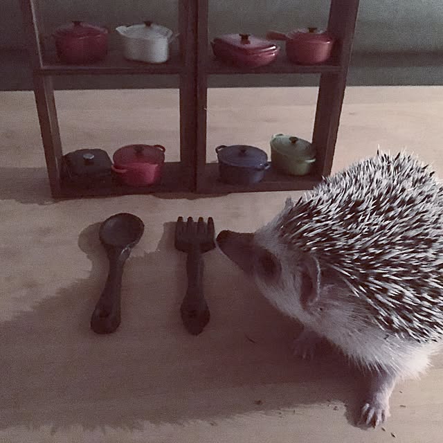 saokoさんの実例写真