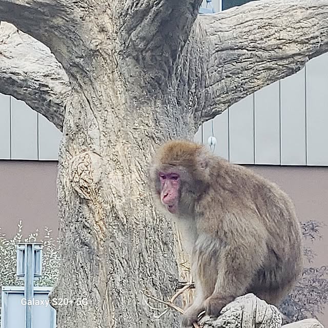 monnさんの部屋