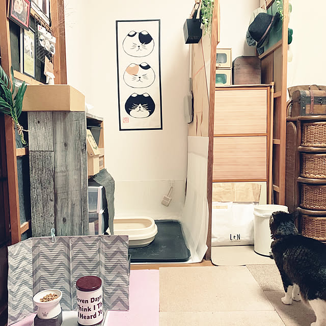 simayaさんの実例写真