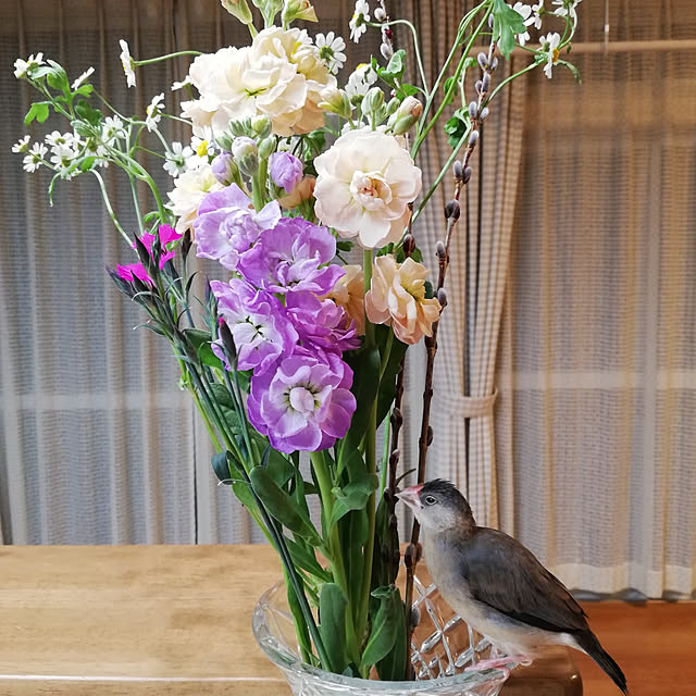 bambiさんの実例写真