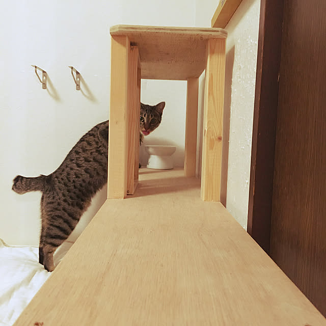 Mさんの実例写真