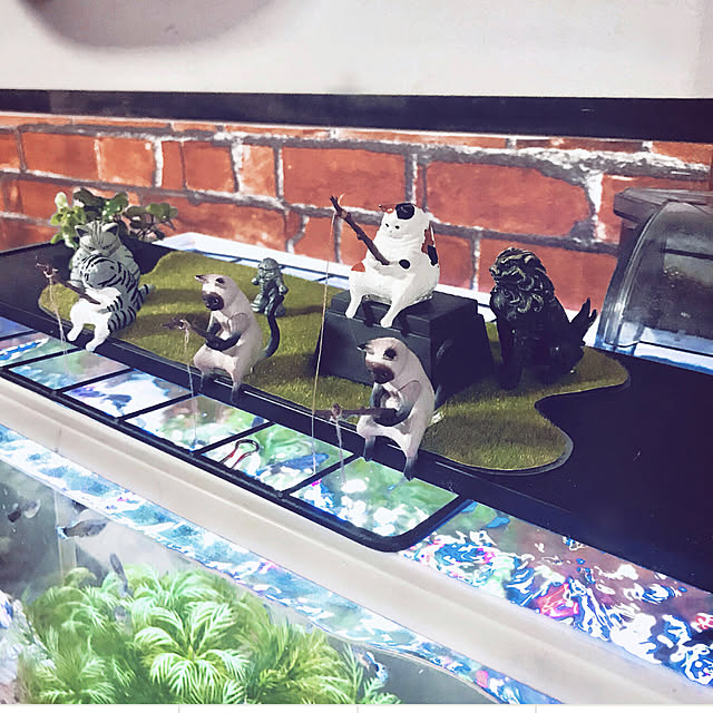 maroさんの実例写真