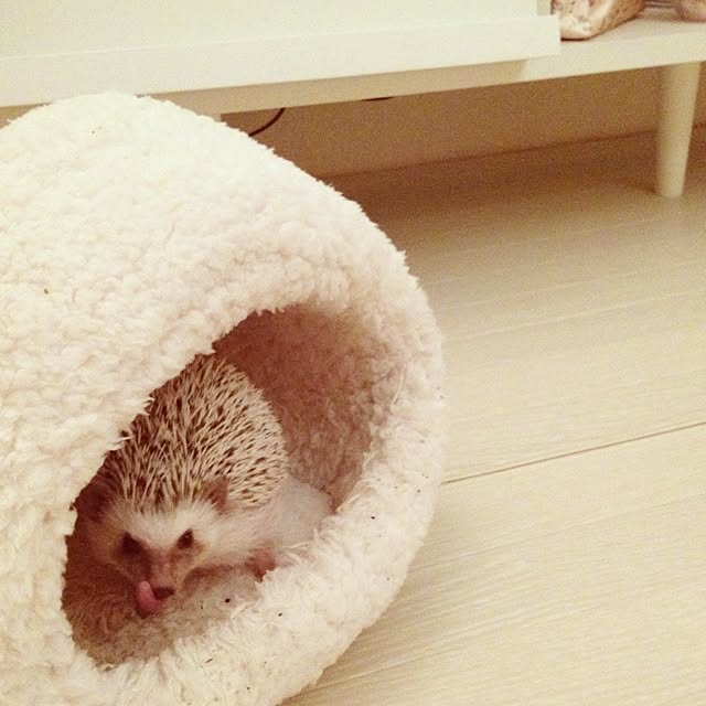 rntkmrさんの実例写真