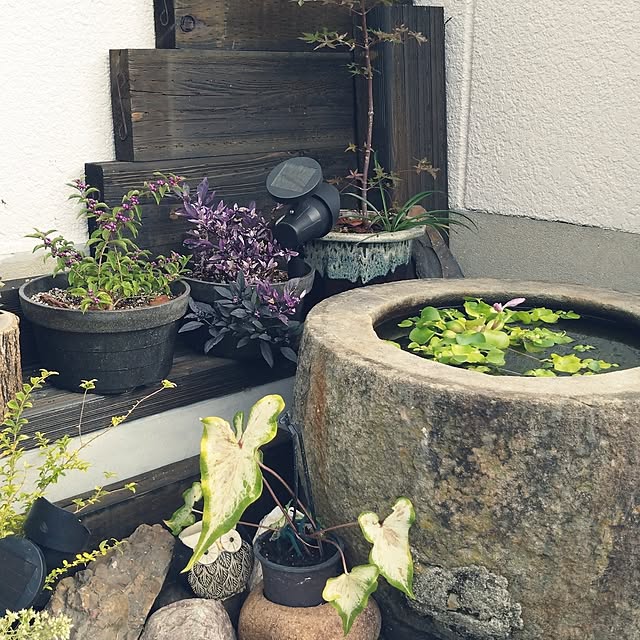 MIPORINNさんの部屋