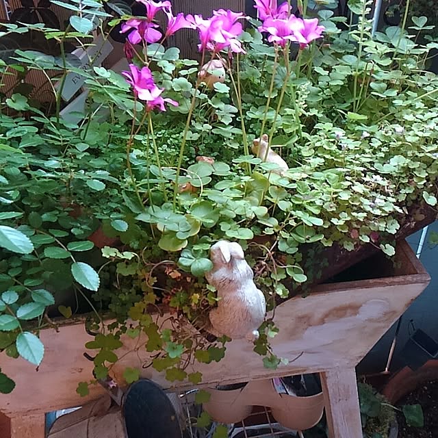 h.mwakabaさんの実例写真