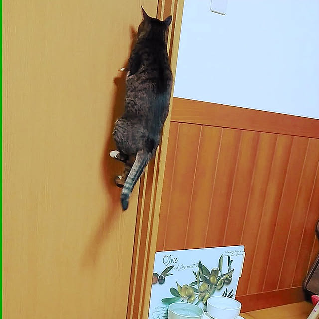 nachiさんの実例写真