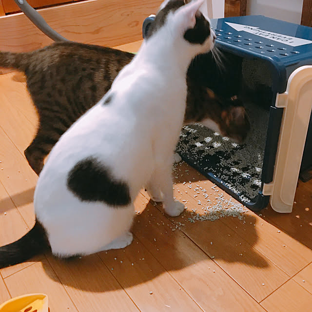 nobikoさんの実例写真