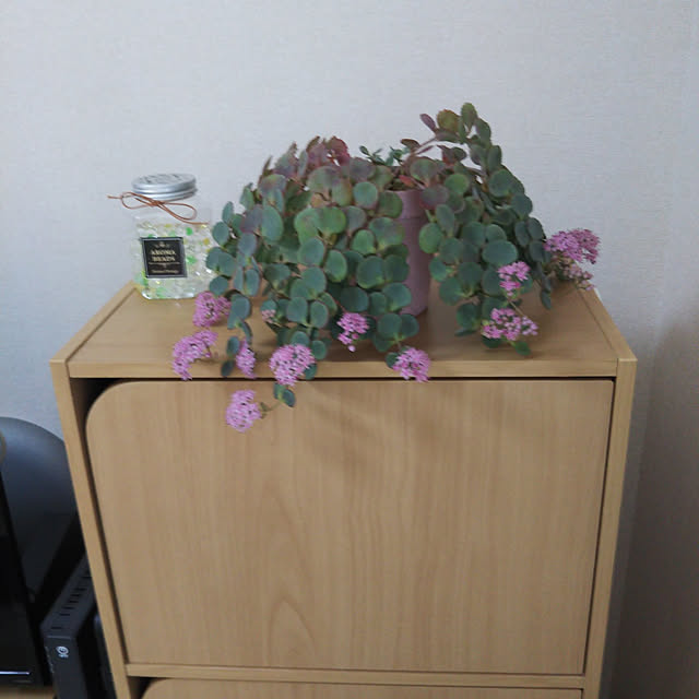 komotomomoさんの実例写真