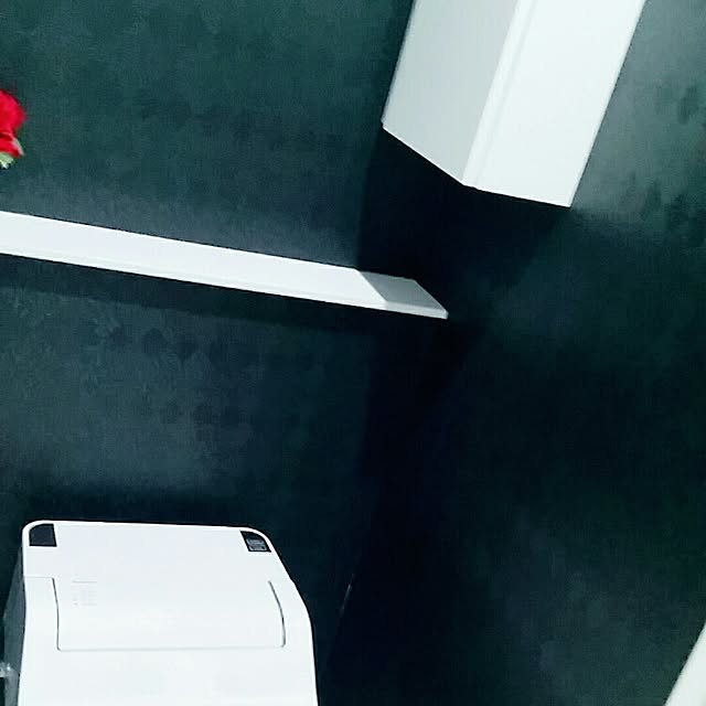 Ntmchanさんの実例写真