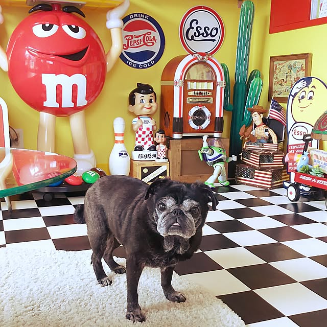 kuupugさんの実例写真
