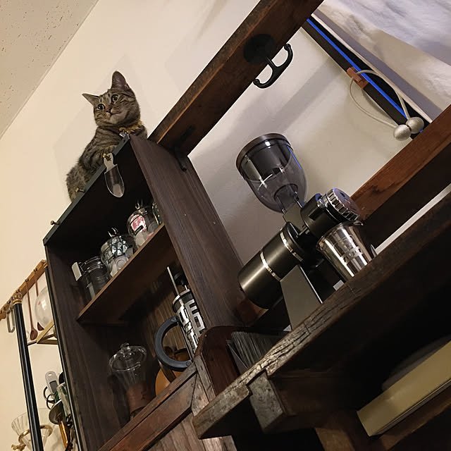 Mさんの実例写真