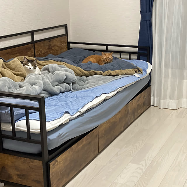 Sakura0417さんの実例写真