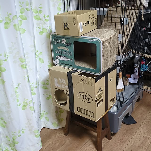 ciiiさんの実例写真