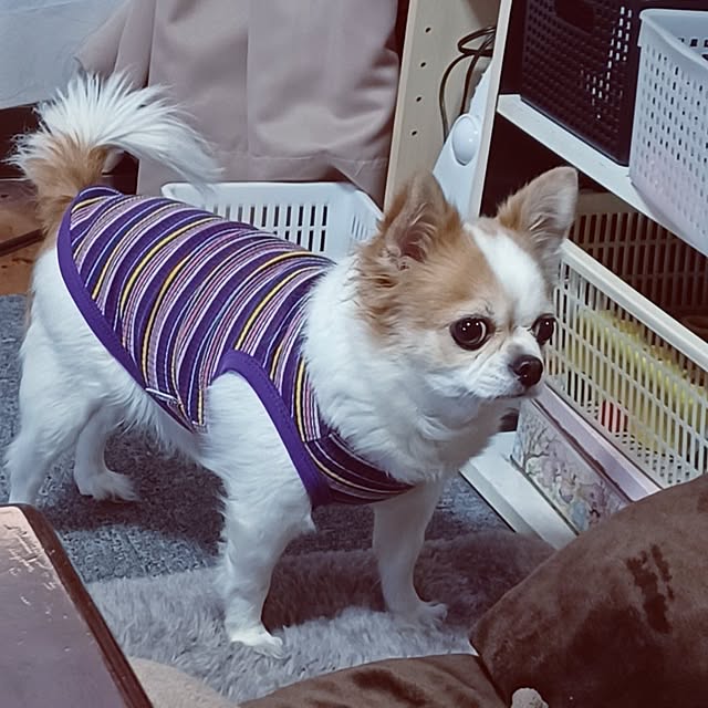 hiro.904さんの部屋