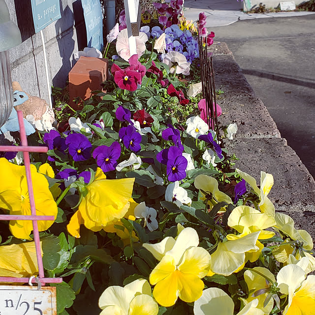 natyenaoさんの実例写真