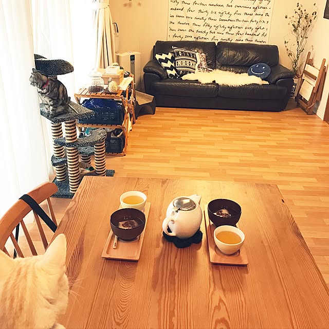 hiyupan88さんの実例写真