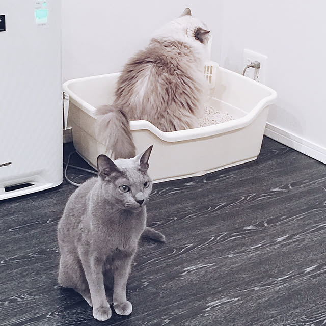 ar._.roomさんの実例写真