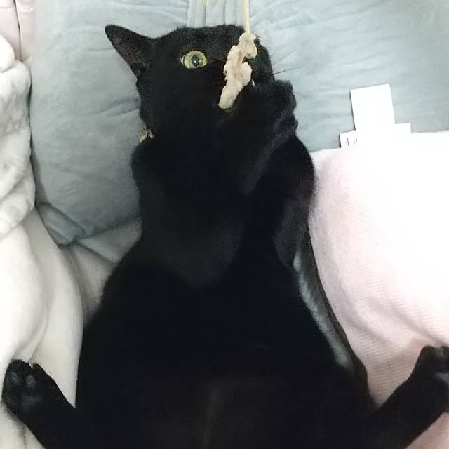 Tさんの実例写真