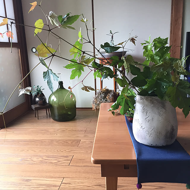 buchiさんの実例写真