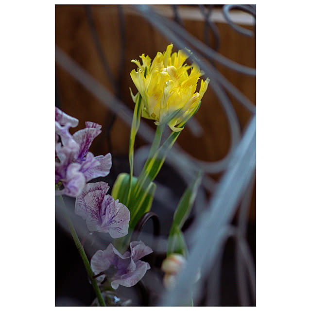 ayamaruさんの部屋