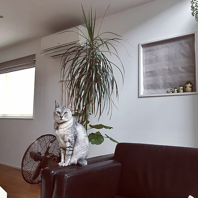 maroさんの実例写真