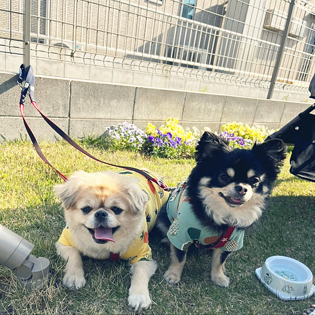 実例写真