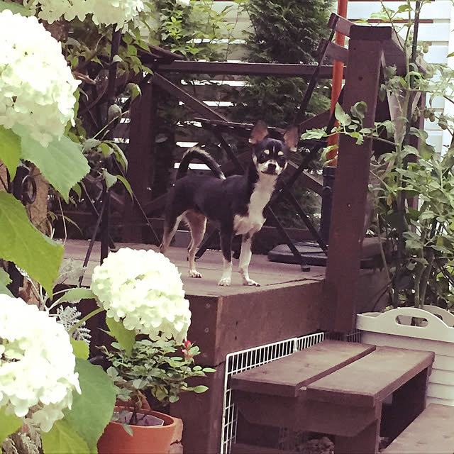 sorarikuさんの実例写真
