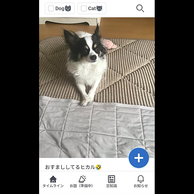 sakuさんの実例写真