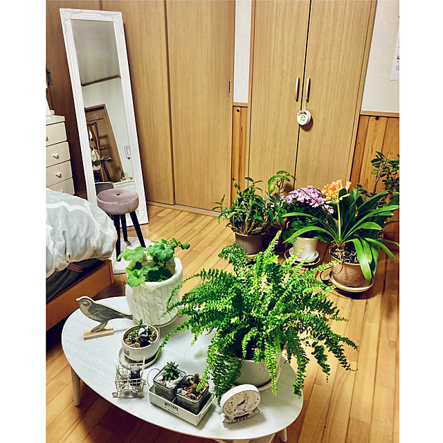 CoCo0617さんの実例写真