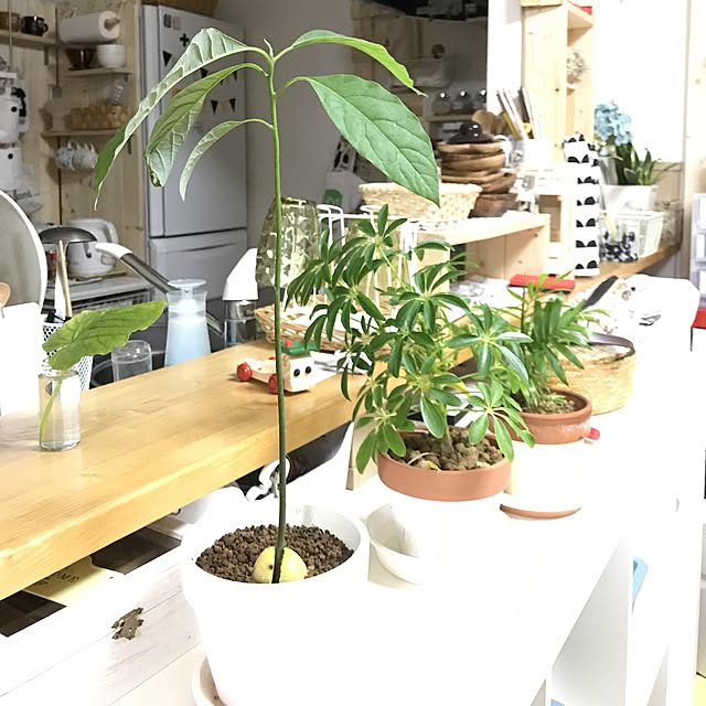 yuccoさんの実例写真