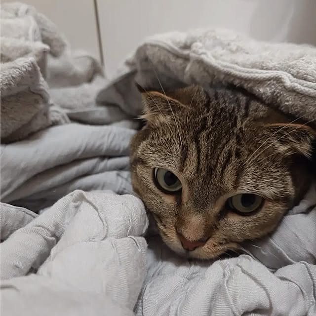 noguriさんの部屋