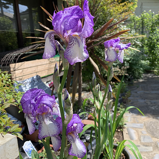 romiromiさんの実例写真