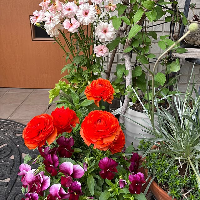 m.h.mammyさんの部屋