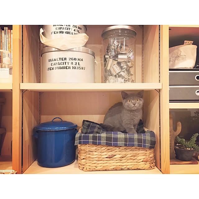 agtpd8462さんの実例写真