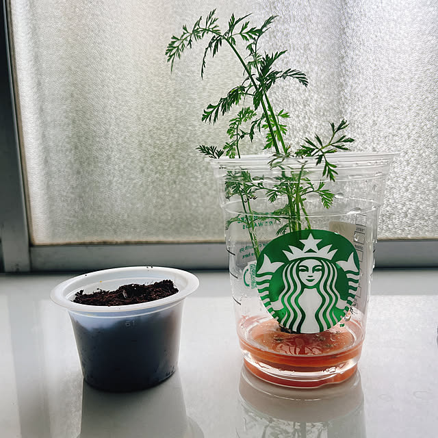 marinkarinさんの実例写真