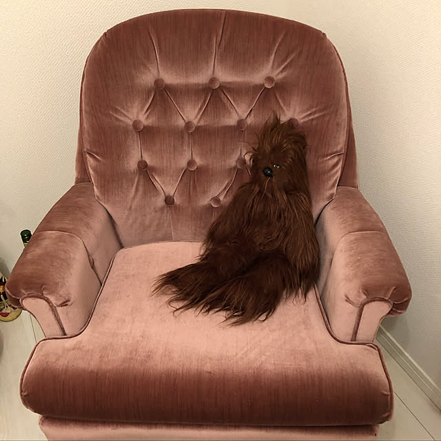 birugawumai2020さんの実例写真